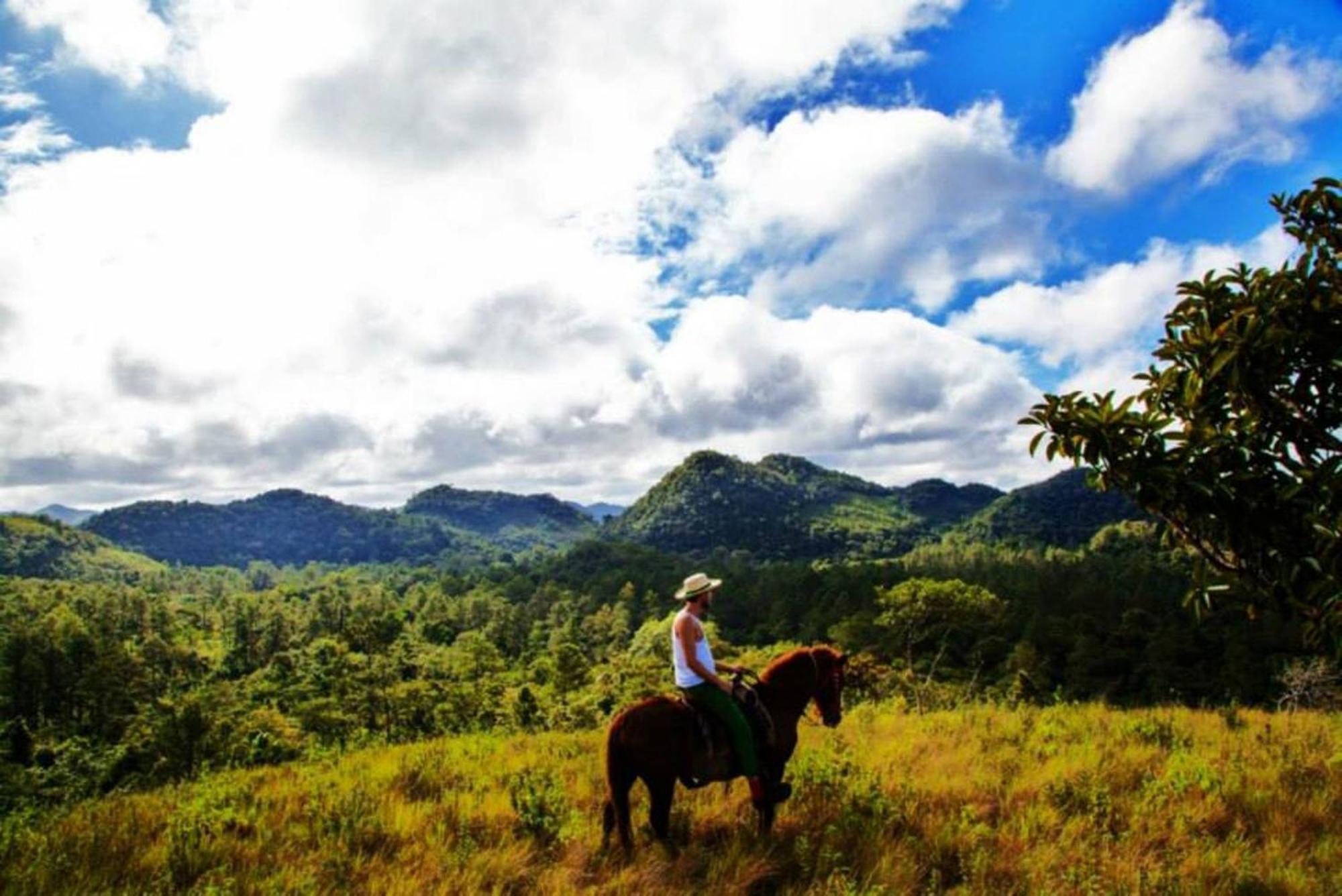 Finca Ixobel エクステリア 写真