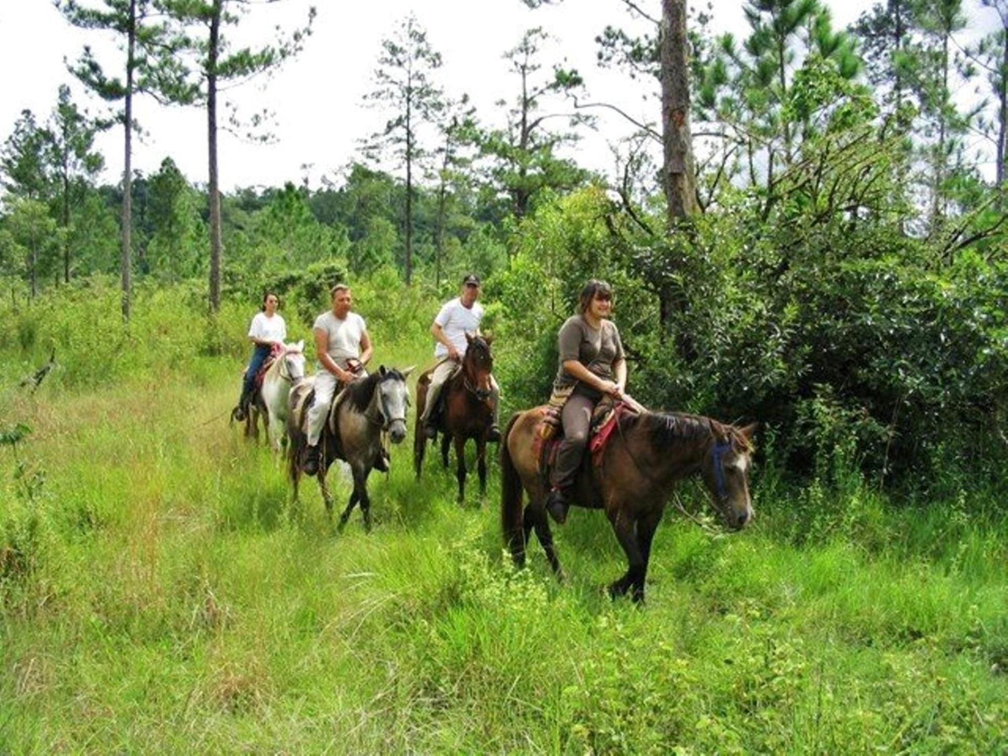 Finca Ixobel エクステリア 写真