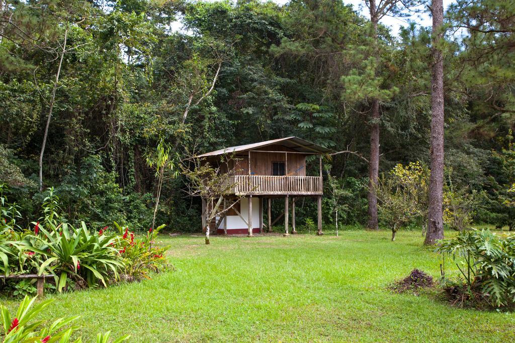 Finca Ixobel 部屋 写真