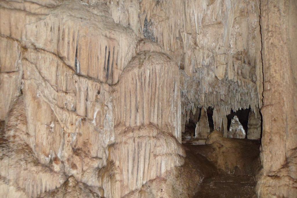 Finca Ixobel エクステリア 写真
