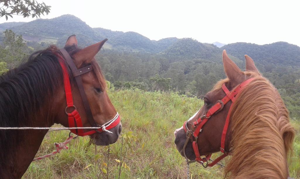 Finca Ixobel エクステリア 写真