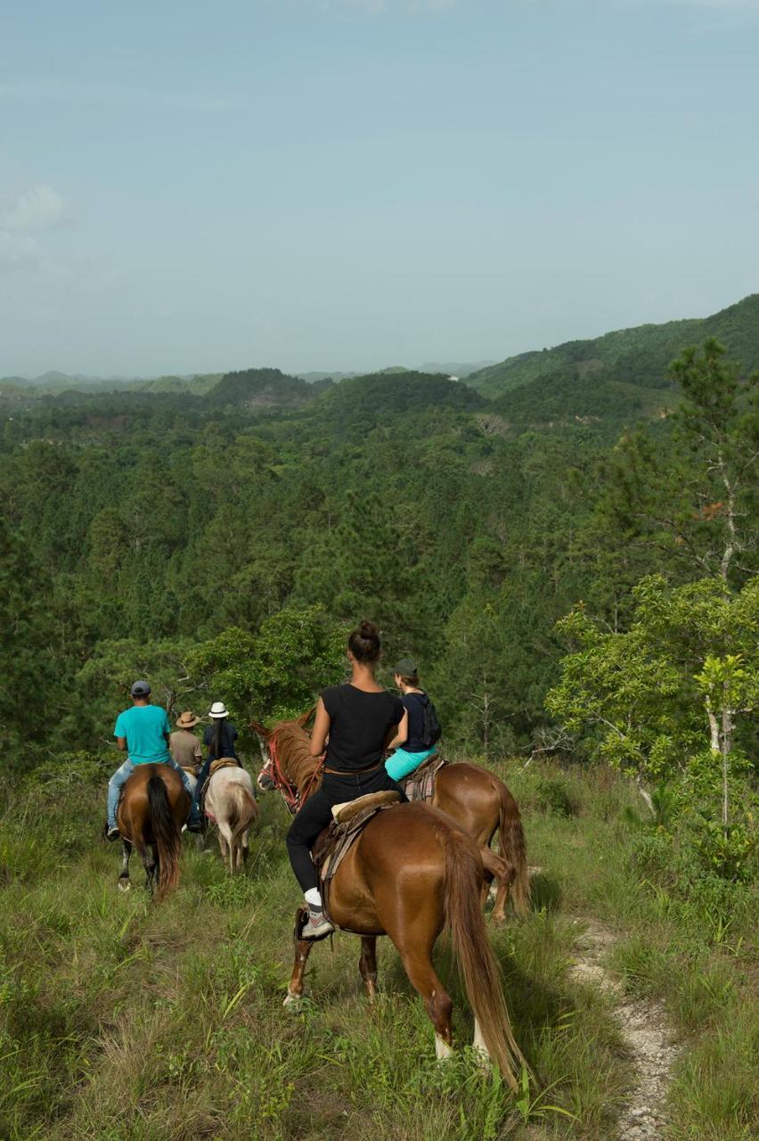 Finca Ixobel エクステリア 写真